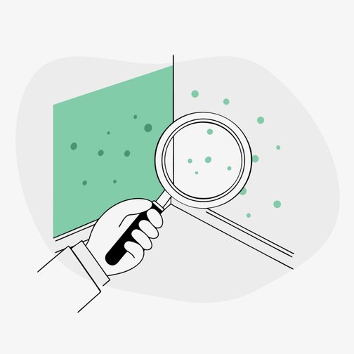 Плесень в новостройках: разбираем 5 мифов